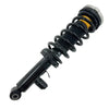 Shock & Struts2X Rear Shock Absorber Struts Assemblies w/EDC For BMW X3 F25 X4 F26 SDrive20 2011-2018
