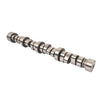SUSUCAR 5.7 Hemi MDS Camshaft 53022263AF, Billet Steel Cam Replacement for 2009-2019 Dodge Ram 1500 Durango 5.7L V8