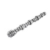 Camshaft KitFor Dodge Ram 1500 5.7L Hemi V8 2011-2016 Pickup Camshaft MDS Lifters Kit 53022263AF