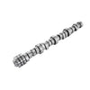 5.7 HEMI MDS VVT camshaft on white background