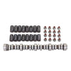 212/218 GM LS truck camshaft, spring and seal kit components