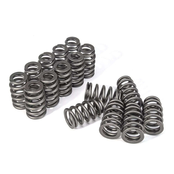 SUSUCAR LS Valve Springs PAC1218 Racing Valve Springs Compatible with GM LS Engine 4.8 5.3 6.0 (.600'' Lift Rated)