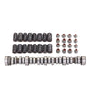 Kit de árbol de levas y muelles LS9 para motores LS/LQ 4.8 5.3 5.7 6.0 6.2 Montaje de alto rendimiento LS Swap