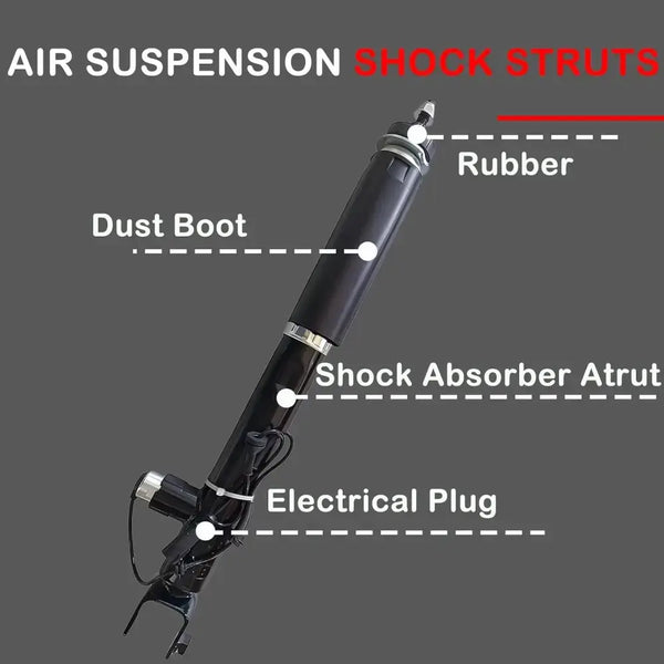 2Pcs Rear Electronic Shock Absorbers - upper mounting detail