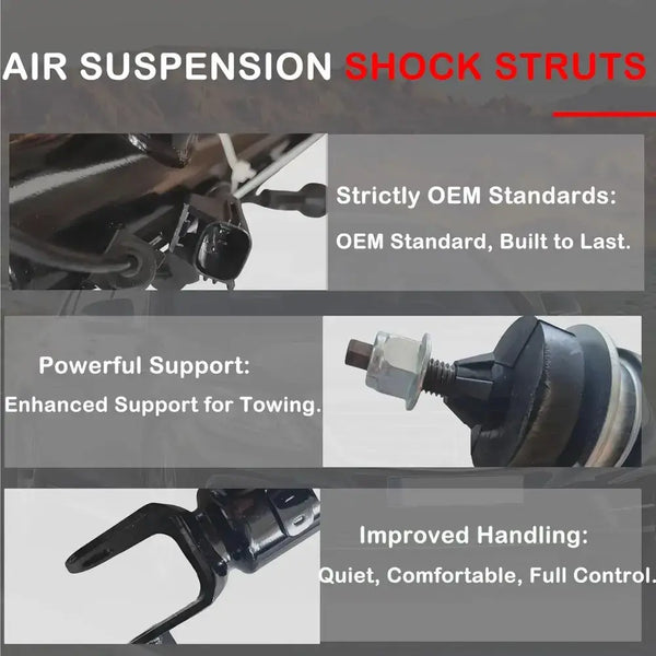 2Pcs Rear Electronic Shock Absorbers - lower mounting detail