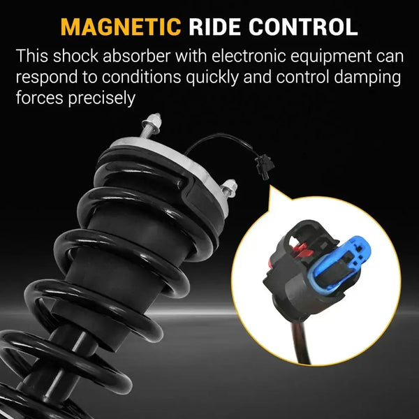 2Pcs Rear Magnetic Ride Loaded Struts - rear left and right package contents