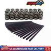 SUSUCAR 600"Drop In Beehive Valve Springs & 7.400" 5/16" Chrome Pushrods for Chevrolet GM Cadillac LS1 LS2 LS3 LS6