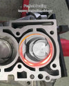 GM Ecotec hydraulic timing-chain tensioner guides sprocket and oiler components