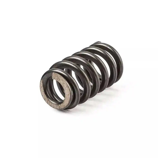 SUSUCAR LS Valve Springs PAC1218 Racing Valve Springs Compatible with GM LS Engine 4.8 5.3 6.0 (.600'' Lift Rated)